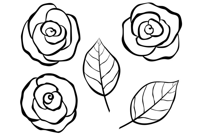 roses-vector-roses-flower-roses-svg-roses-flower-svg