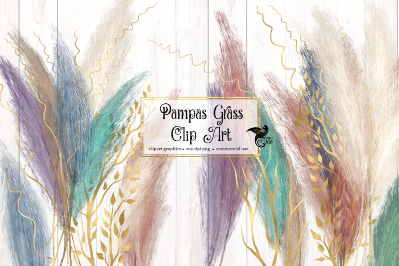 pampas-grass-clipart