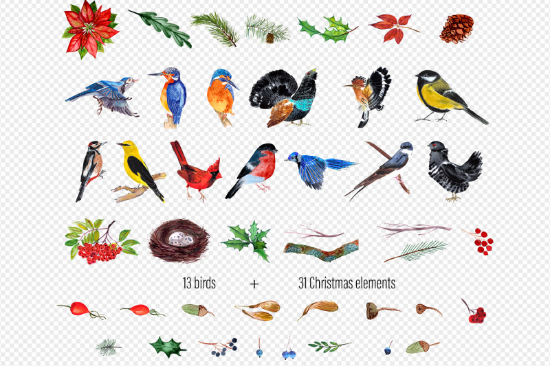 watercolor-clipart-winter-birds