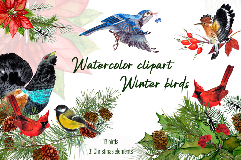 watercolor-clipart-winter-birds