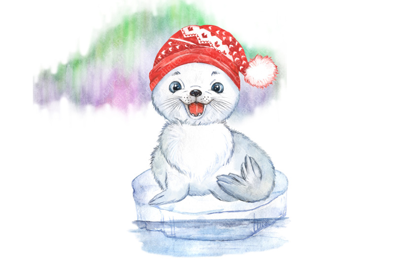 antarctic-animals-christmas-clipart-cute-penguin-baby-seal-bird