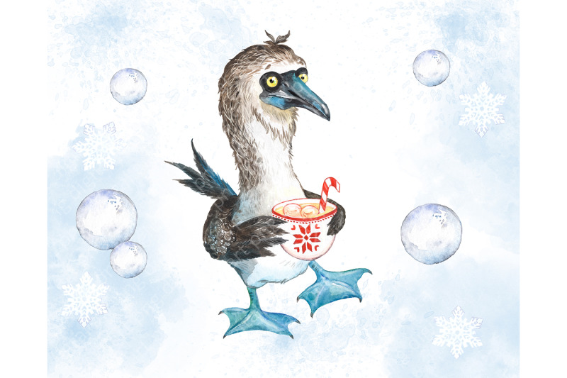 antarctic-animals-christmas-clipart-cute-penguin-baby-seal-bird