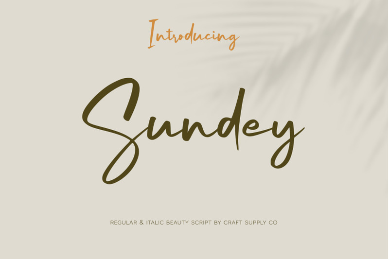 sundey-beauty-script-font