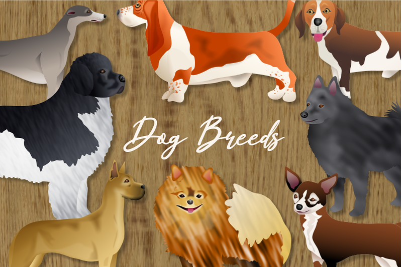 pedigree-dog-breeds-animal-clipart-set