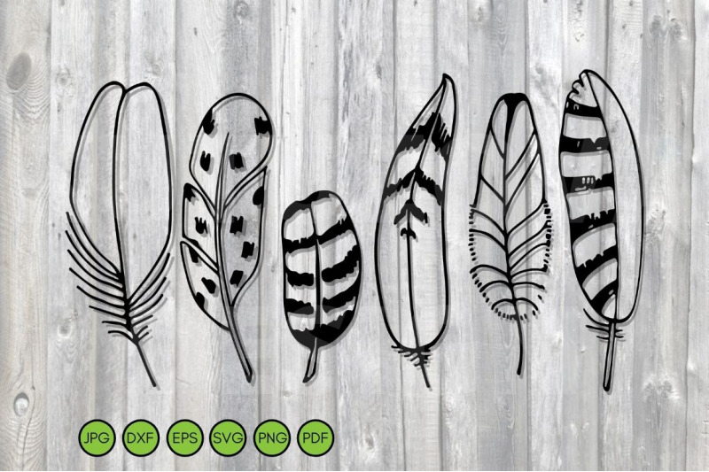 feathers-set-svg-hand-drawn-sketch-svg-feathers-set