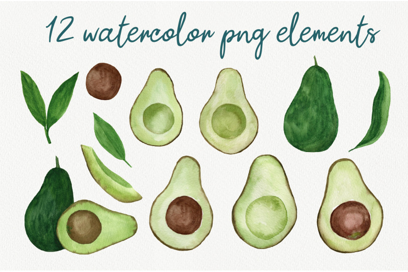 avocado-watercolor-clipart-set