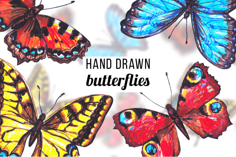 hand-drawn-butterfly-set