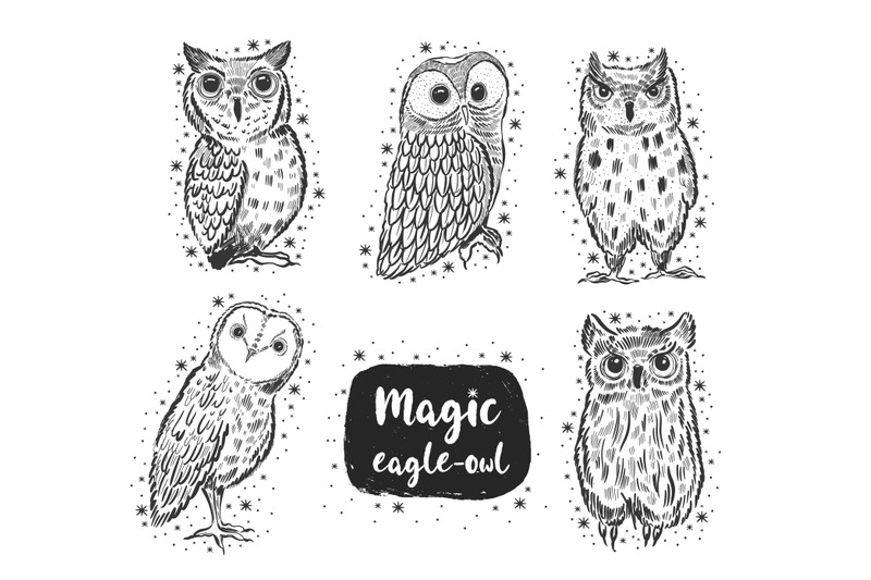 owl-sketch-collection