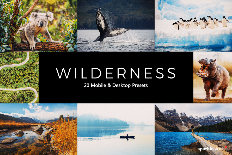20-wilderness-lr-presets
