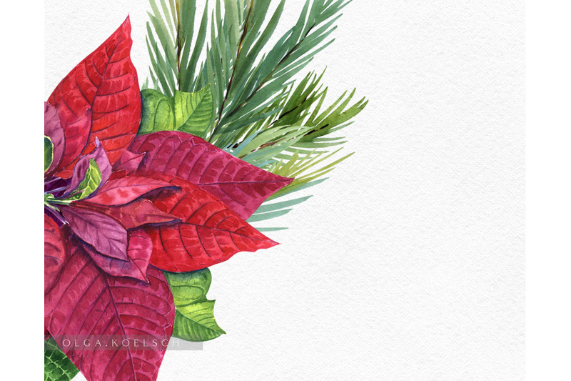 watercolor-christmas-clip-art-red-poinsettia-winter-clipart