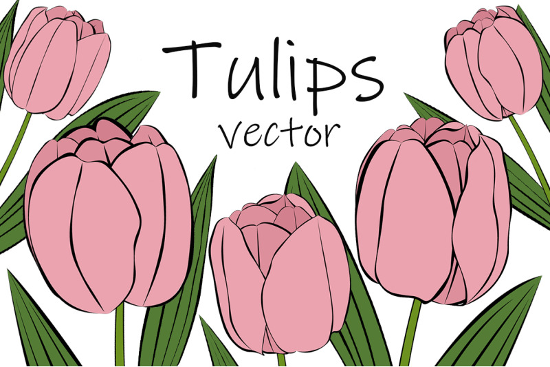 tulips-vector-tulips-flower-tulips-svg-tulips-flower-svg