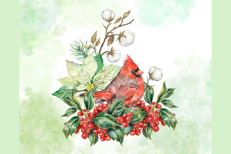 Merry Christmas watercolor clipart. Holly berries, red cardinal bird By Evgeniia Grebneva