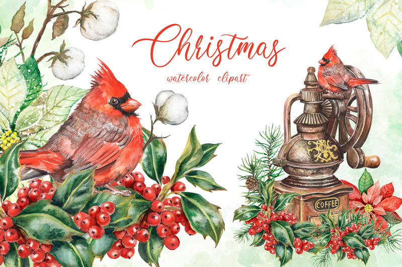 Merry Christmas watercolor clipart. Holly berries, red cardinal bird By