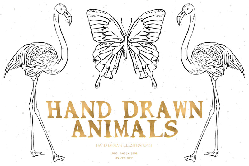 hand-drawn-animals-illustrations