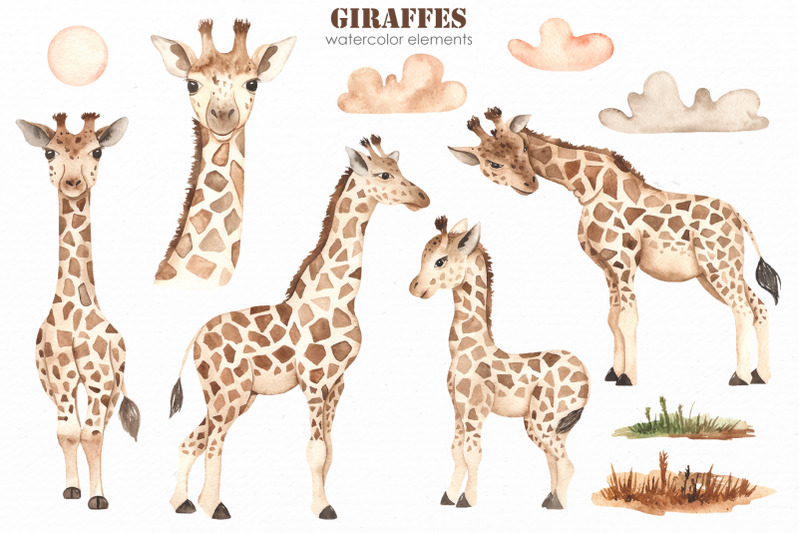 giraffes-watercolor-collection