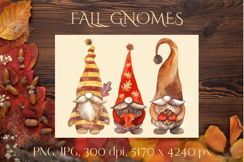 fall-gnomes-watercolor-clipart