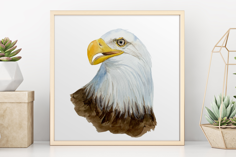 watercolor-bald-eagle-clip-art-and-print