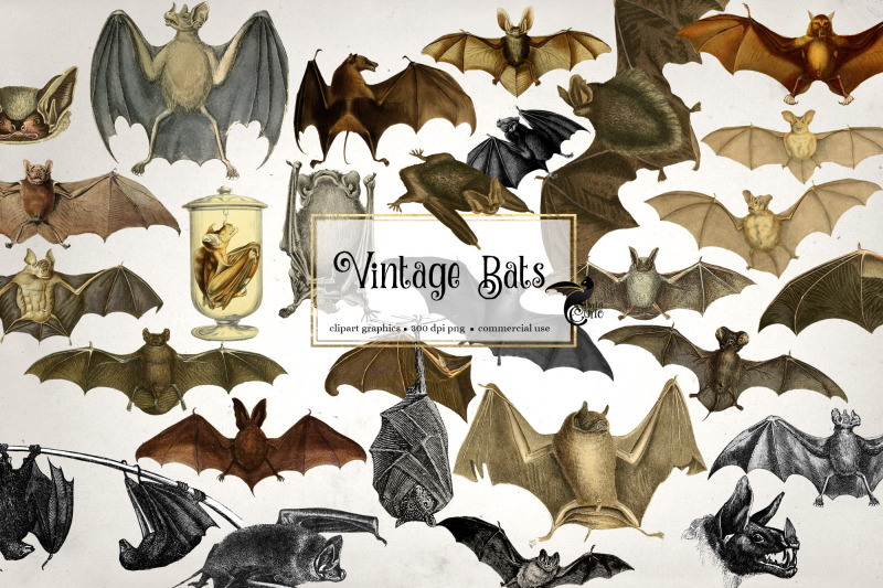 vintage-bats-clipart