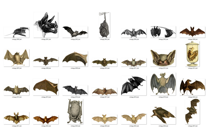 vintage-bats-clipart