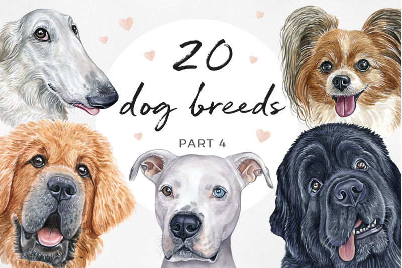 part-4-big-watercolor-illustrations-set-dog-breeds