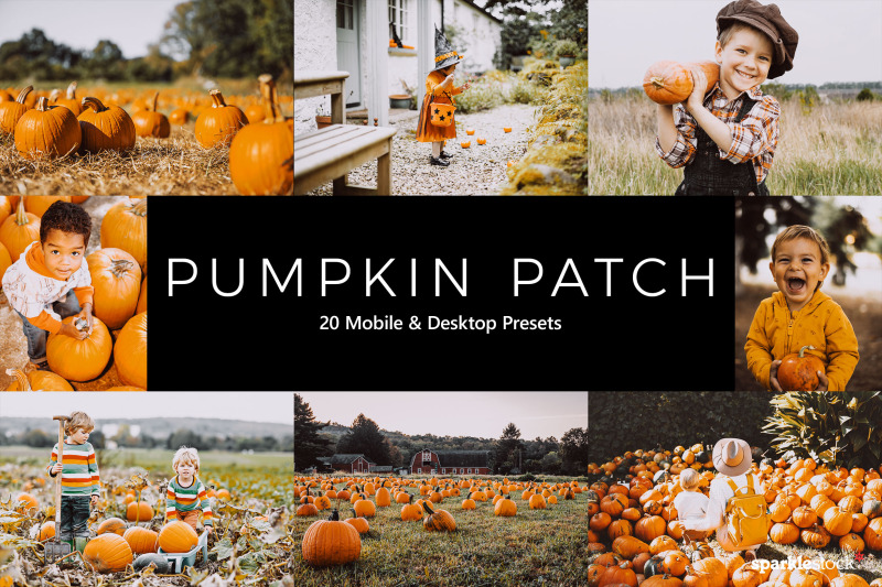20-pumpkin-patch-lr-presets