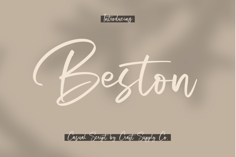 beston-casual-script-font