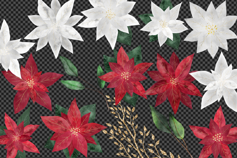 watercolor-poinsettias-clipart