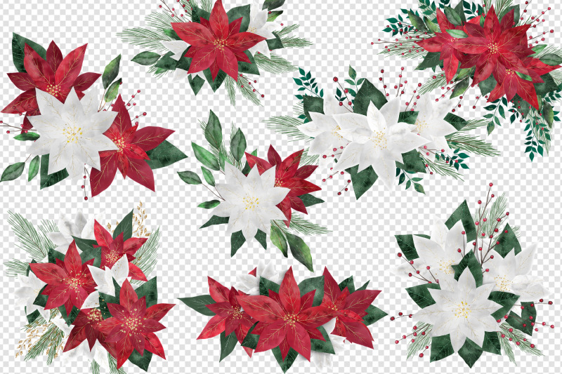 watercolor-poinsettias-clipart