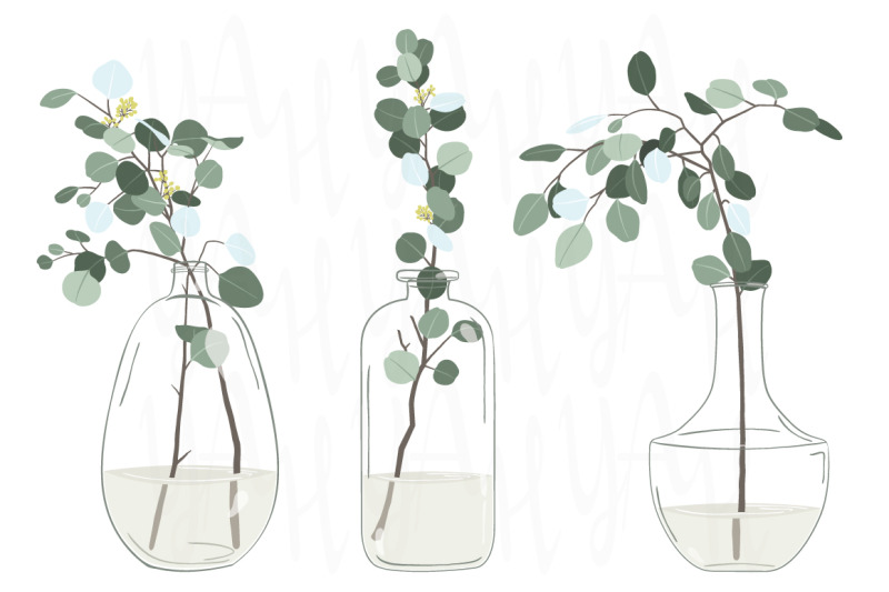 eucalyptus-in-glass-vase-collections