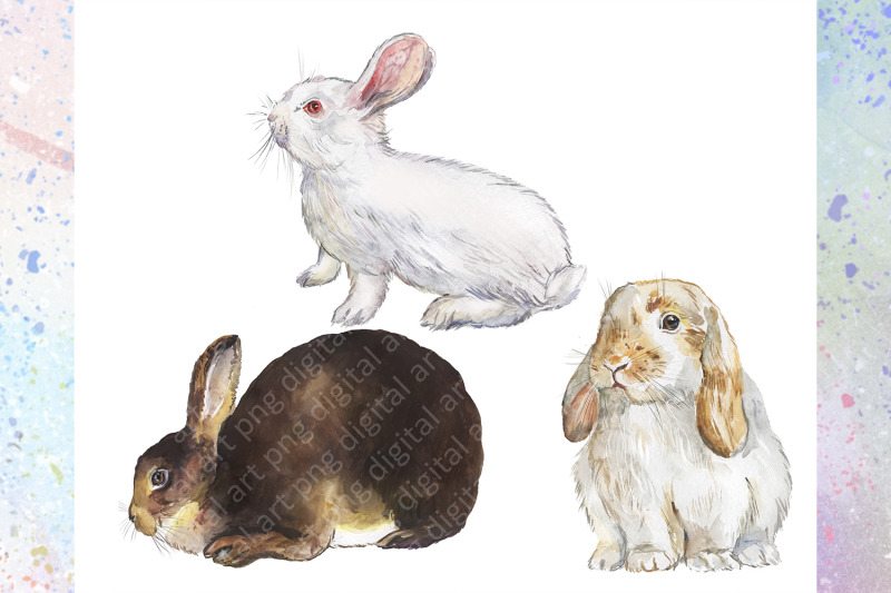 rabbits-watercolor-clipart-set-1-decorative-breeds-of-rabbits