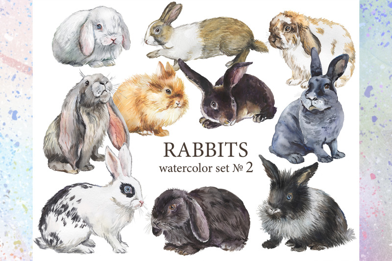 rabbits-watercolor-clipart-set-2-decorative-breeds-of-rabbits