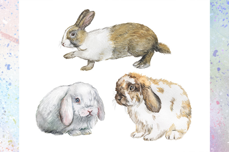 rabbits-watercolor-clipart-set-2-decorative-breeds-of-rabbits