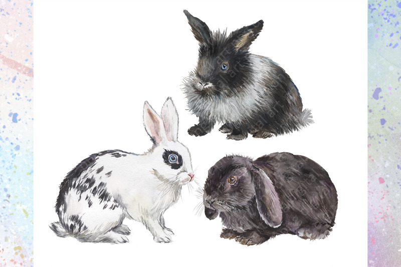 rabbits-watercolor-clipart-set-2-decorative-breeds-of-rabbits