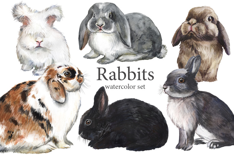 rabbits-watercolor-clip-art-cute-pet-clipart-fluffy-colorful-pets