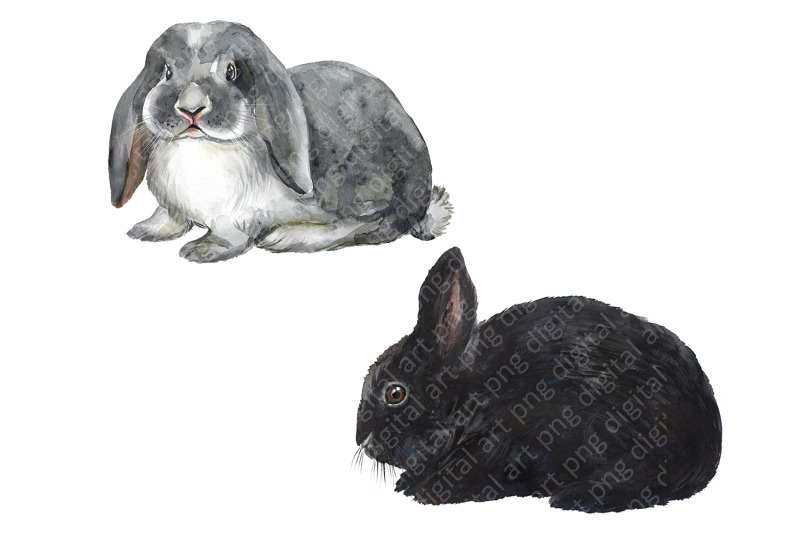 rabbits-watercolor-clip-art-cute-pet-clipart-fluffy-colorful-pets