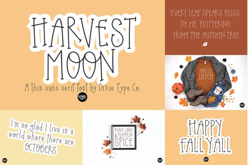 autumn-breeze-font-bundle