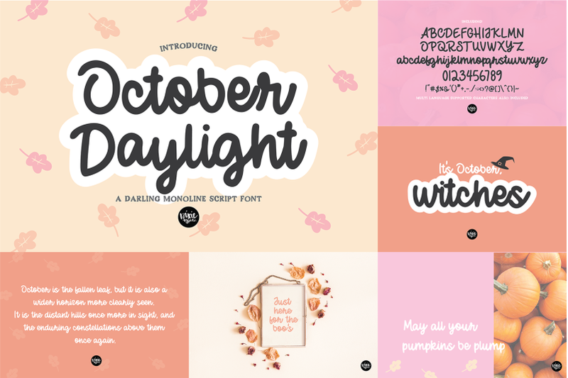 autumn-breeze-font-bundle