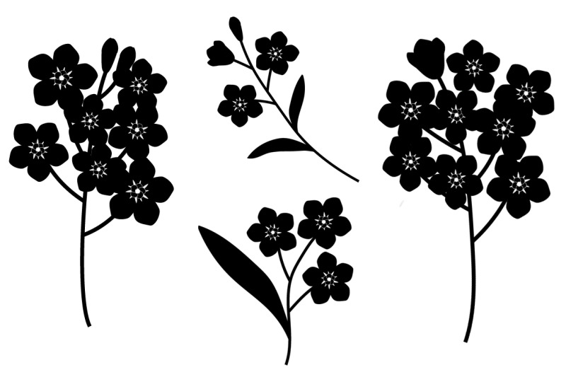 flowers-silhouettes-vector-flower-forget-me-not-flower-svg