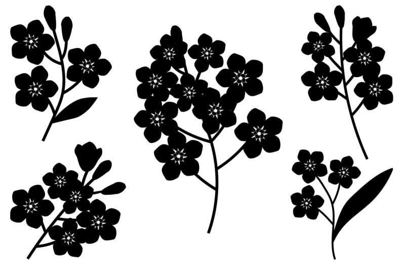 flowers-silhouettes-vector-flower-forget-me-not-flower-svg