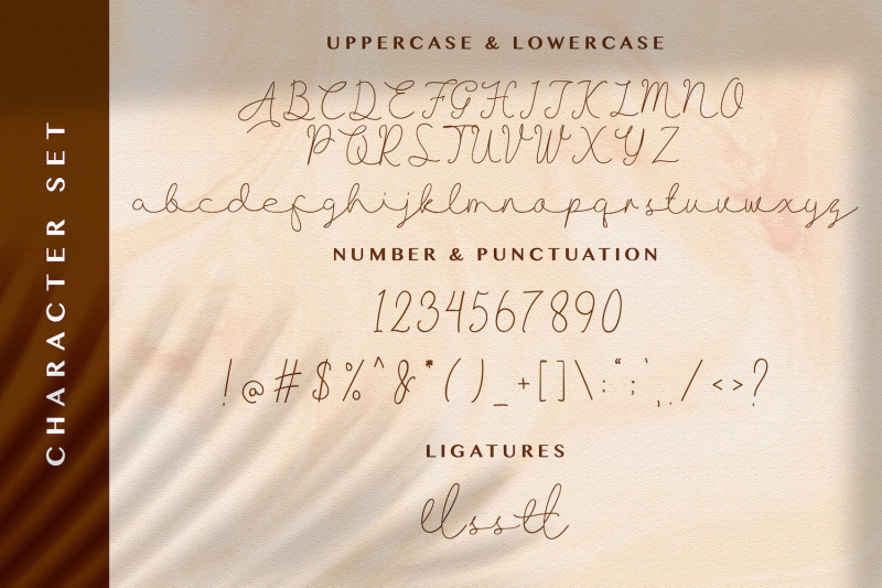 allise-signature-script-font