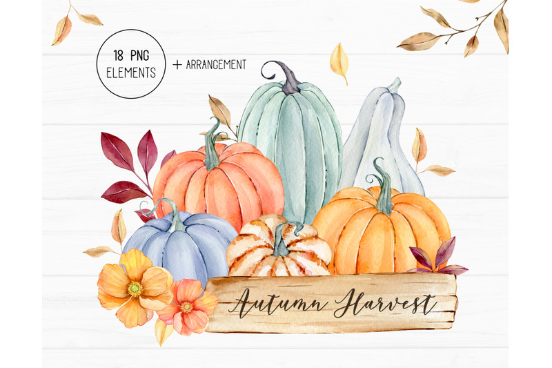 autumn-watercolor-clipart-fall-harvest