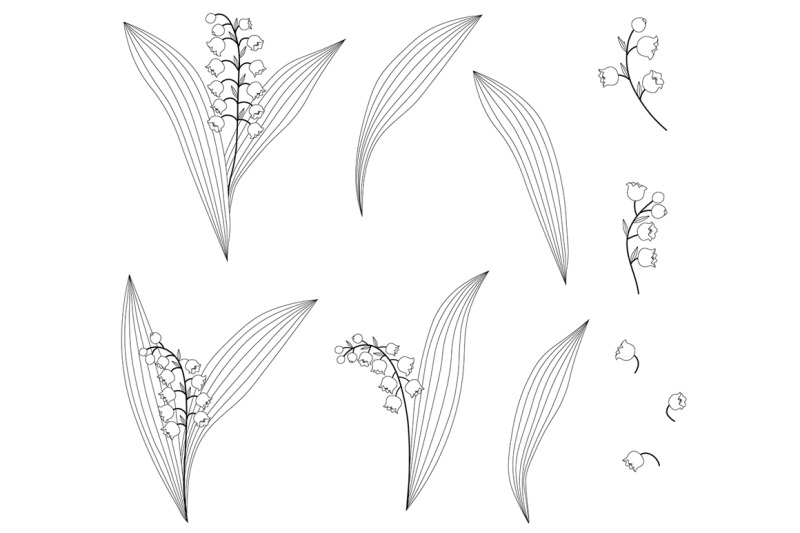 lilies-of-the-valley-flowers-black-and-white-graphics-vector