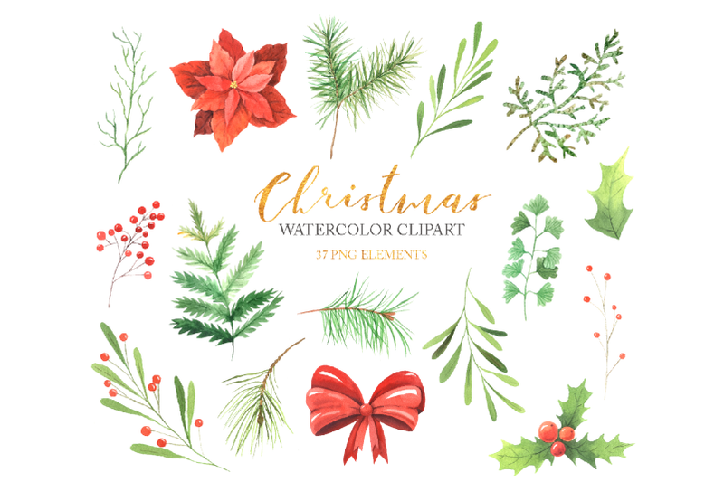 watercolor-christmas-floral-clipart