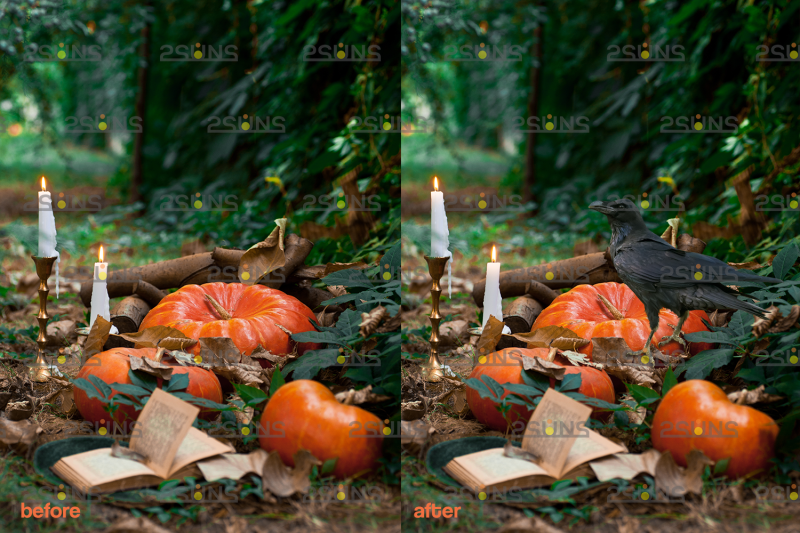 50-halloween-overlay-amp-photoshop-overlay