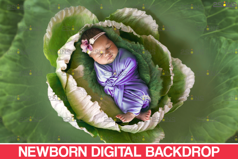 floral-backdrop-amp-newborn-backdrop-photoshop-overlay