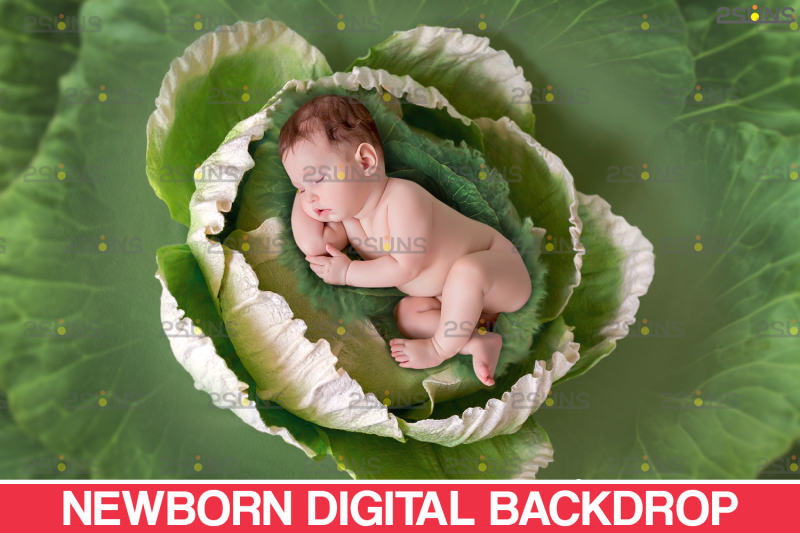 floral-backdrop-amp-newborn-backdrop-photoshop-overlay