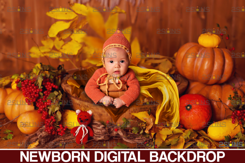 newborn-backdrop-amp-baby-autumn-backdrop-halloween-digital-backdrop