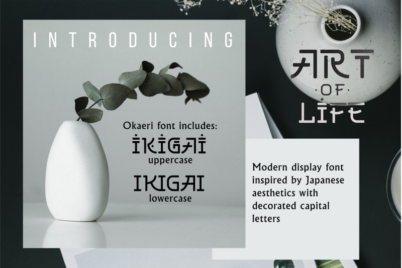 okaeri-japan-inspired-display-font