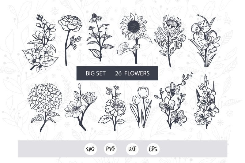 gardening-flowers-svg-hand-drawn-flower-clipart-botanical