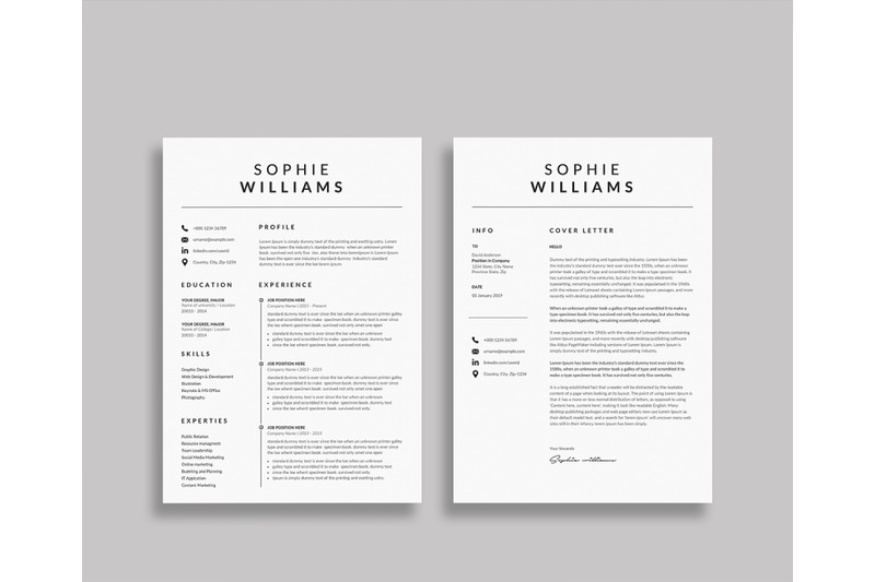 professional-resume-template-word